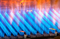 Poyntz Pass gas fired boilers